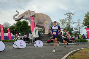 BIB: 
                            <button type="button" onclick="openModal(26528795)" class="btn btn-primary btn-sm float-right btn-popup" data-toggle="modal" data-target=".modal-high-quality">
                        <i class="fas fa-shopping-cart"></i> Add to Cart
                    </button>
                                            <button type="button" onclick="isThisMe(26528795, true)" class="btn btn-success btn-sm float-right btn-popup btn-isme hidden" data-toggle="tooltip" data-placement="bottom" title="นี่คือรูปของคุณใช่ไหม คลิกที่นี่เพื่อเอาเข้าอัลบั้ม">
                        <i class="fas fa-plus"></i> Add to album
                    </button>
                    <button type="button" onclick="isThisMe(26528795, false)" class="btn btn-warning btn-sm float-right btn-popup btn-isnotme hidden">
                        <i class="fas fa-ban"></i> Remove from album
                    </button>